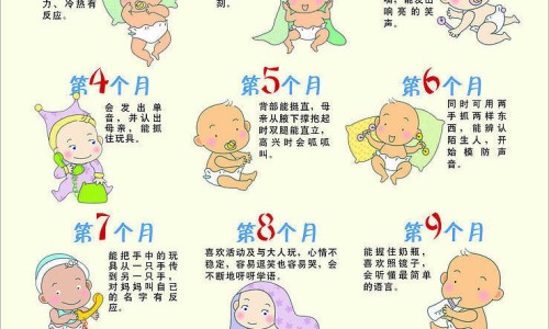 能迅速消肿的食物是什么、消肿食物清单推荐 -能迅速消肿的食物网
